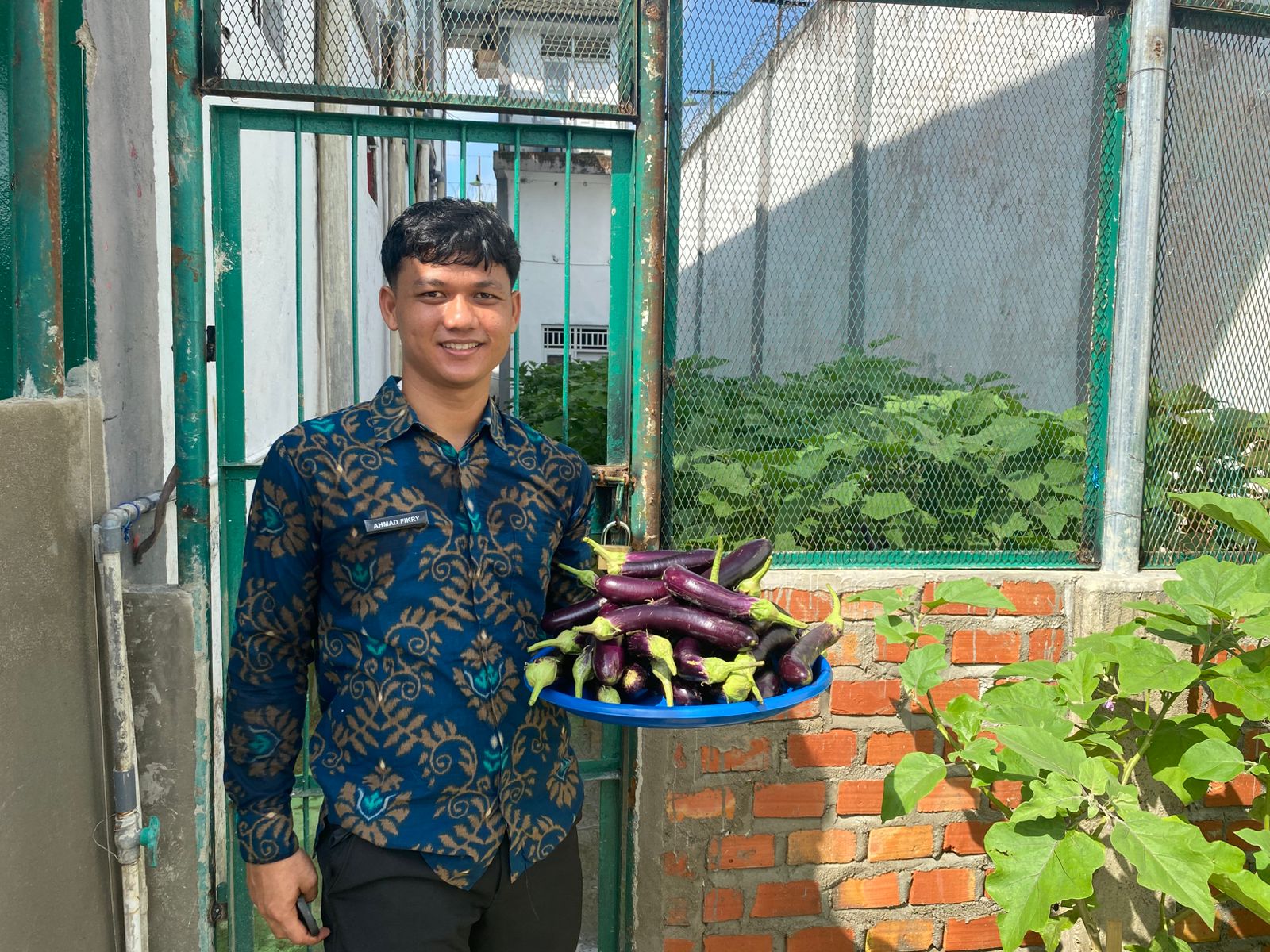 LAHAN TERBATAS DAN SUDAH DIBETON, MEMANG BISA PRODUKTIF?